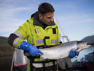 Prestwick’s cargo operation hits an incredible sea food export high in just 4 months