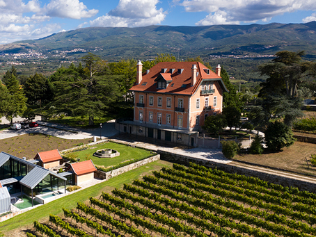 VINHOS DA CASA DA PASSARELLA COM PAULO NUNES