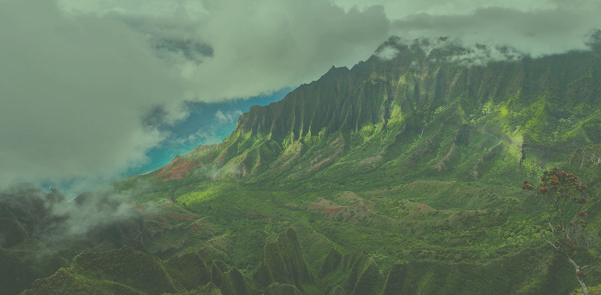 SecertParadise_edited_edited_edited.jpg