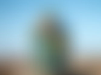 📢 Trash & Recycle Pickup Moved to Thursday This Week Only