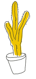cactus.jpg