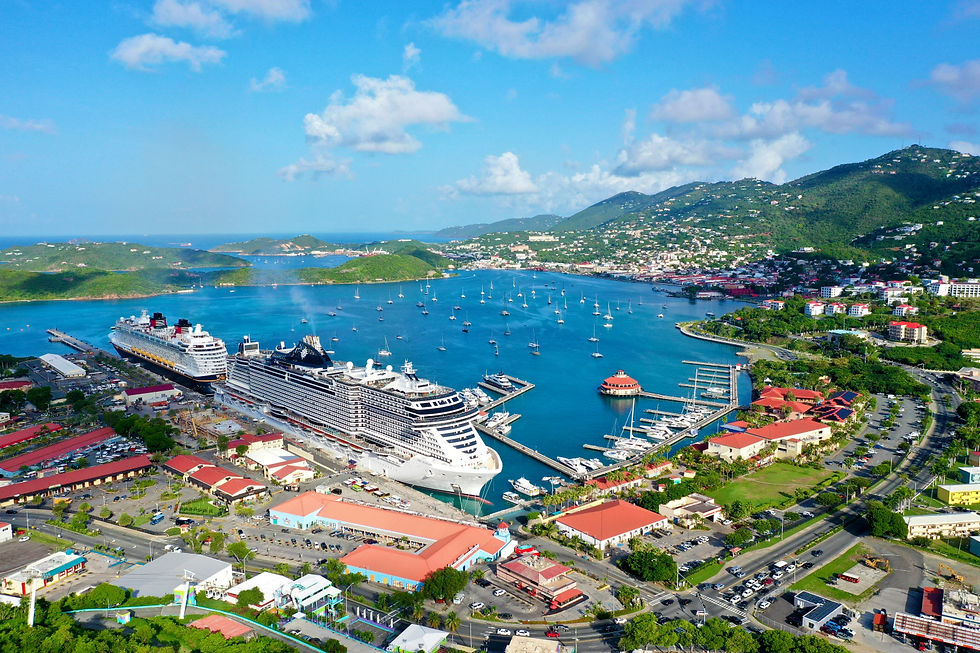 Aerial view of cruise ships docked in a harbor with boats and mountains.