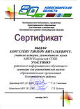 Сертификат участника районного информаци