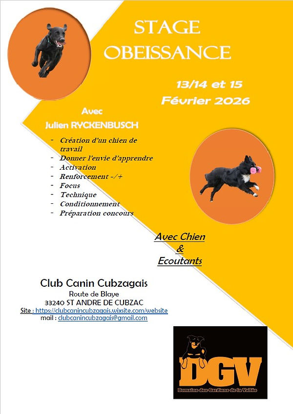 Affiche.jpg