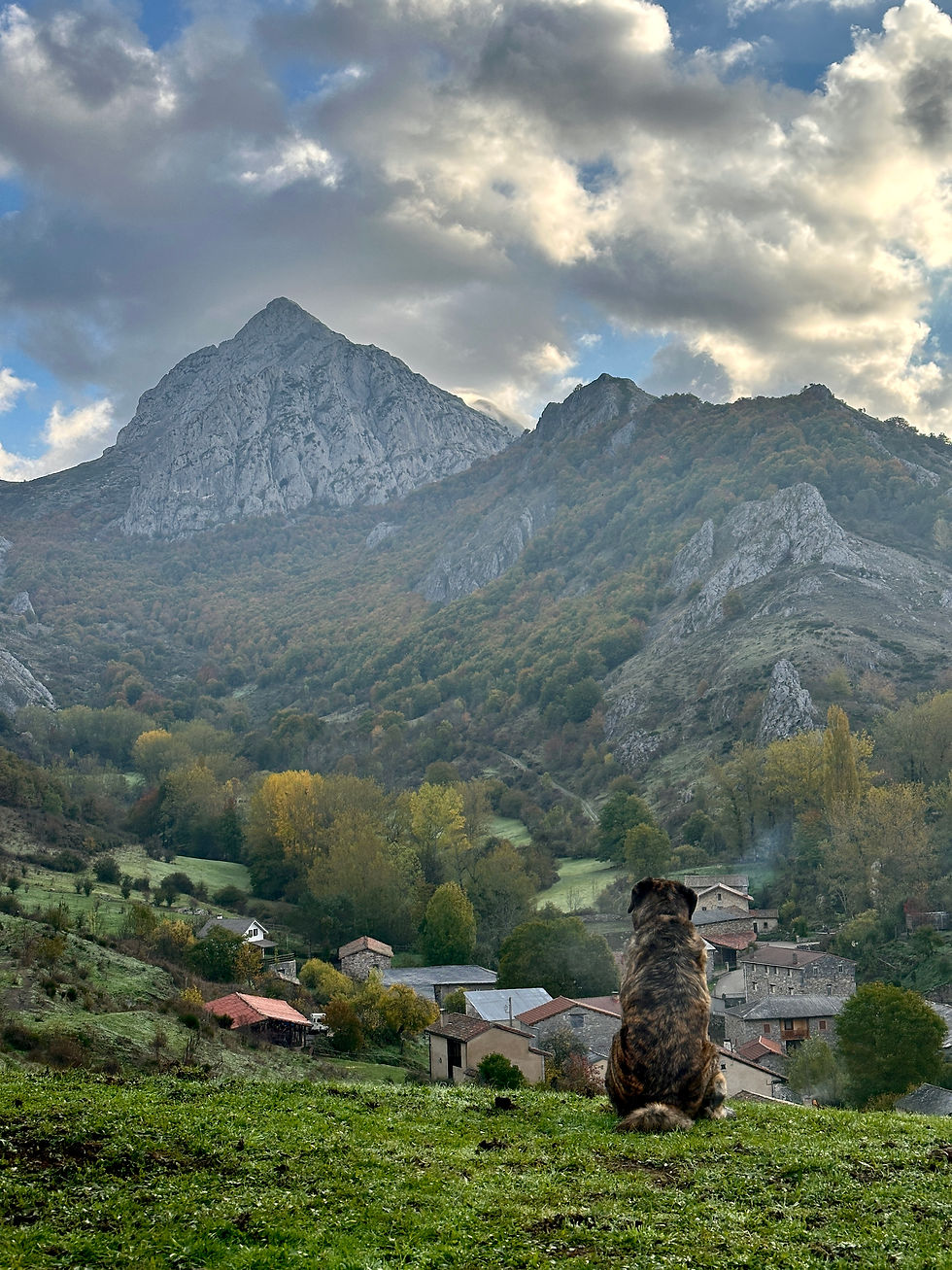 Pico Gilbo nevado, el Cervino leonés, Riaño, León