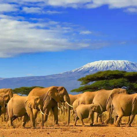 Carta a Tanzania: tierra de inspiración.
