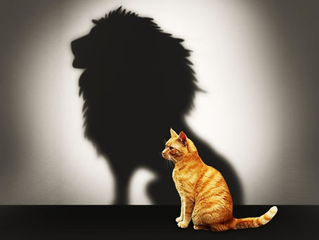 The Lion’s Appetite: Why Big Dreams Need Bigger Choices