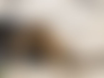 Assumptions, Trust & Regret