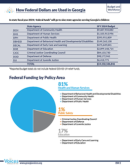 screenshot of factsheet