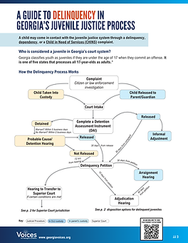 2. JJ Process Delinquency p1.png