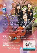 20261110AYAMEサルビア.jpg