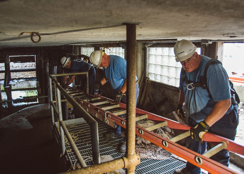 Electricians