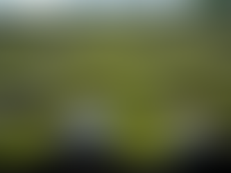 Preserve Your Roof with Expert Cleaning: Effective Roof Cleaning Methods