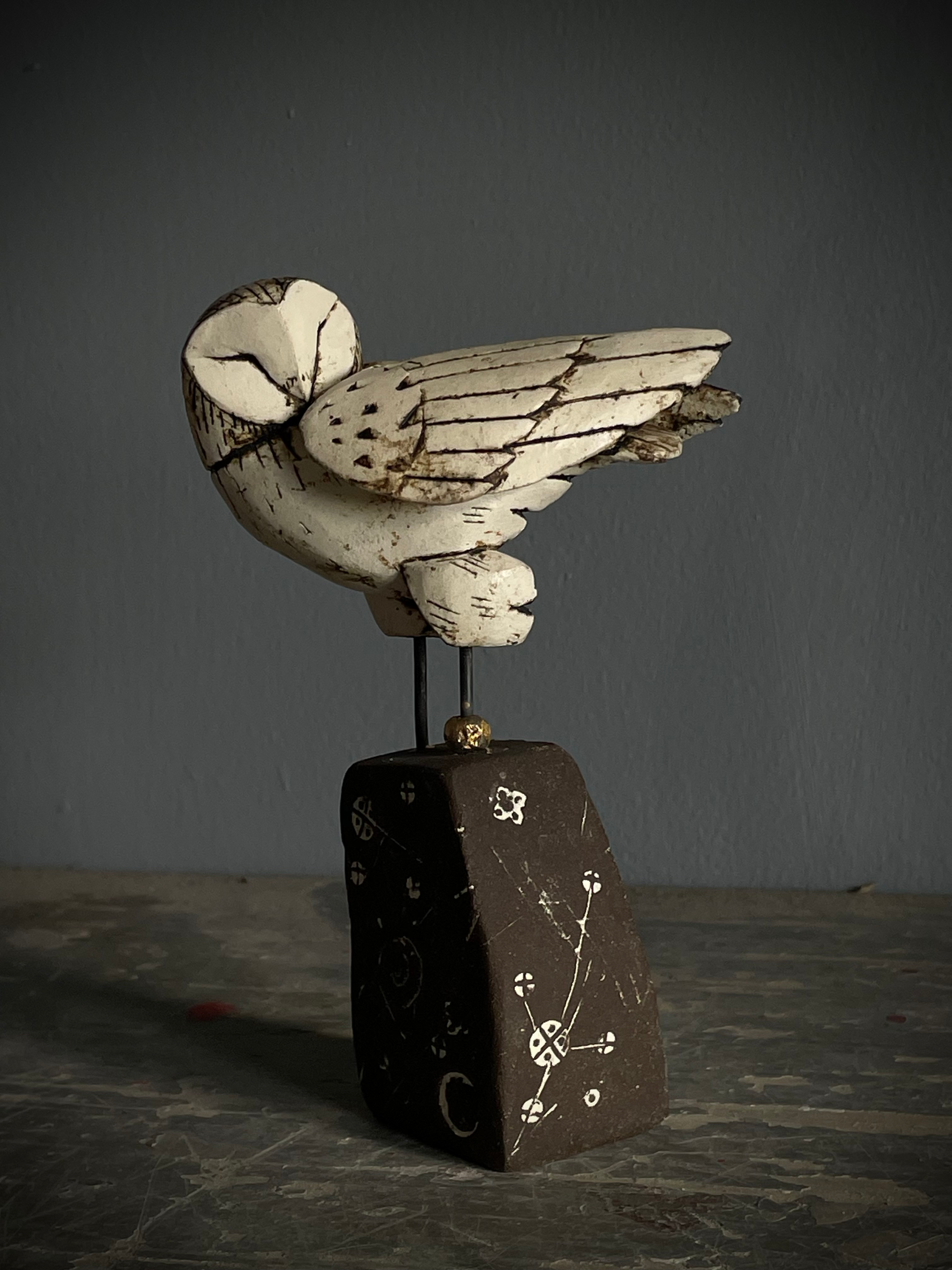 Barn Owl on an ancient stone