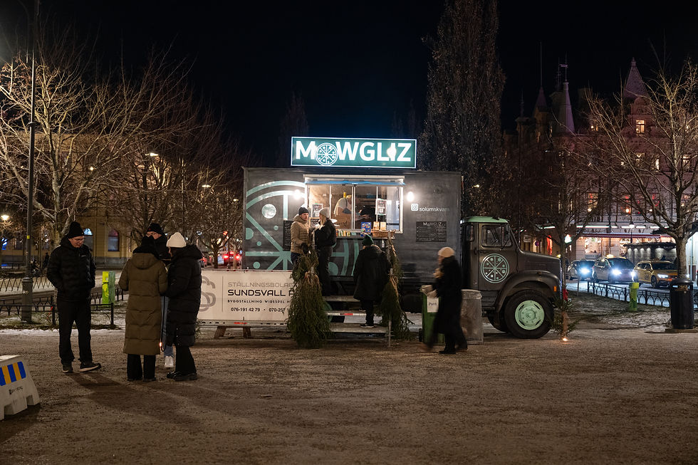 pizzatrucken-1-1.jpg