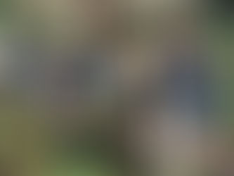 Caminem descalços pel Sender dels sentits