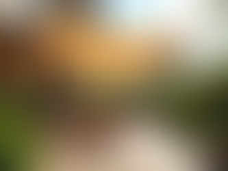 Understanding Retractable Awnings Benefits