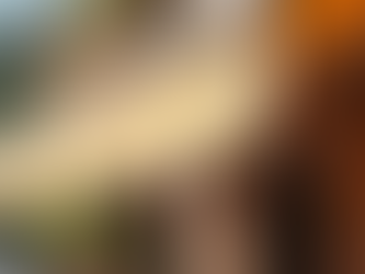 Maintain Your Awning Like a Pro