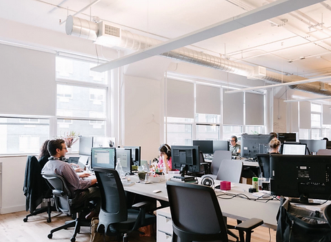 A group of Programmers of SegevTech