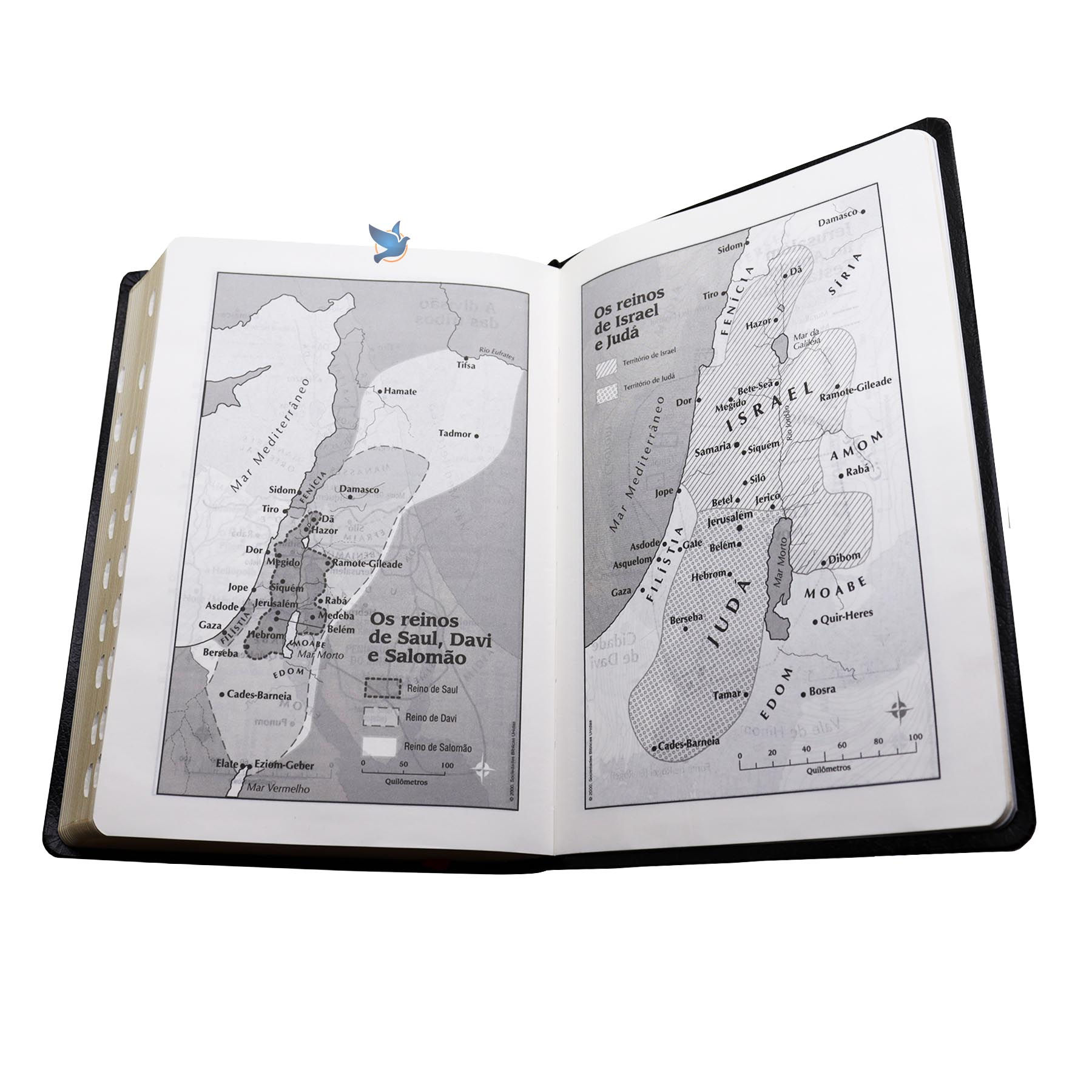 Holy Bible Lt Giant Almeida ARC Side Index | Black
