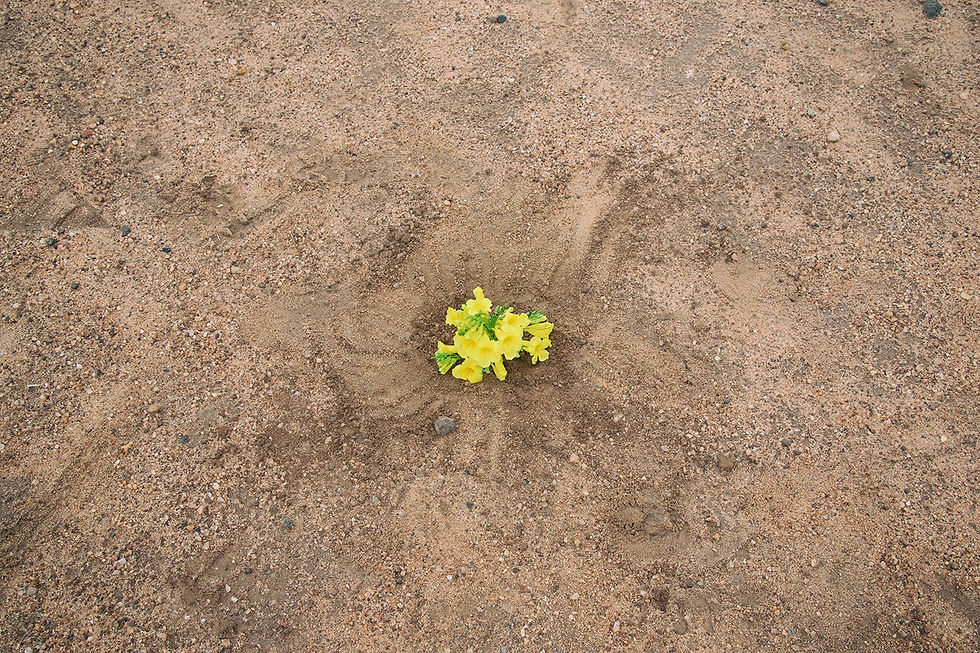 Dribbling Past Patriarchy 20