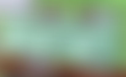 Одно большое или несколько малых