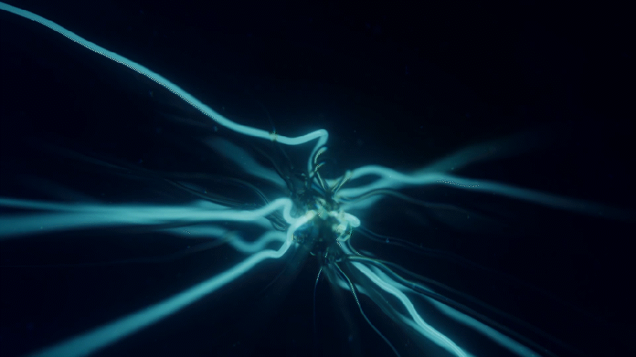 Metanet_Gif_03.gif