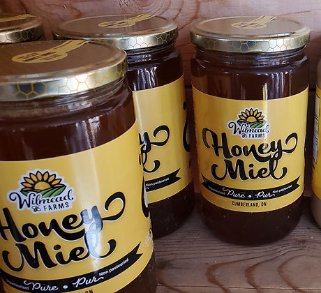 honey jars_edited.jpg