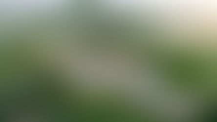 제주 세화.송당 광역조감도 제작과 도시개발 사업지구 연계 확인하기