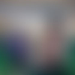 Local mascots celebrate at Woodman’s Center Community Day at Uptown Janesville in April 2023.