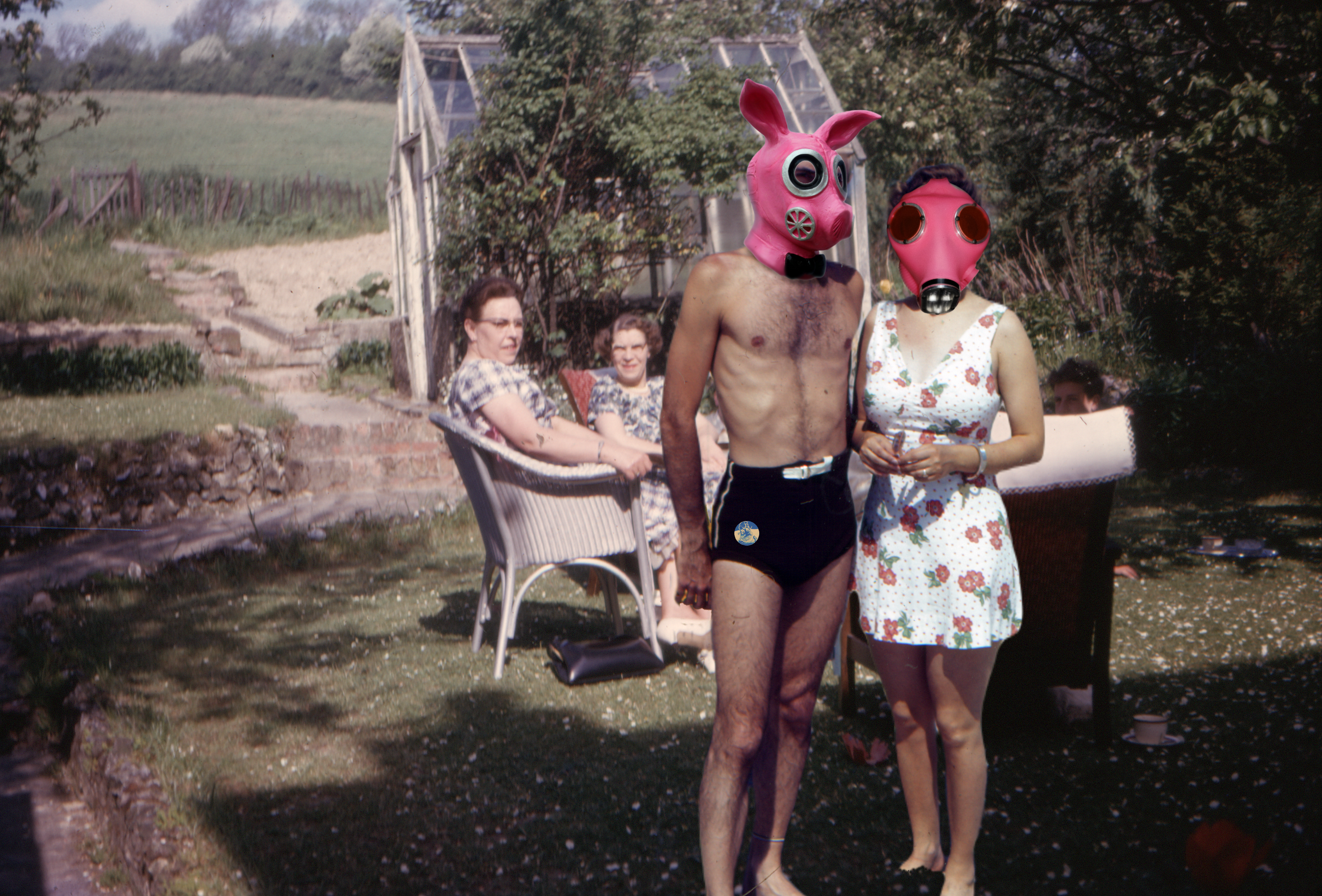 "High Pollen Count" Giclée Print