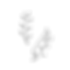 image_edited