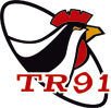 tri91.gif