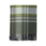 Plaid lana vergine merinos scozzese tartan verde bosco con frange