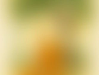 🌿 What Is Buddhism — and Why Do Monks Meditate?