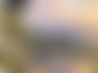 The Camera Isn't Really the Question