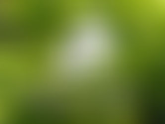 品牌LOGO設計概念