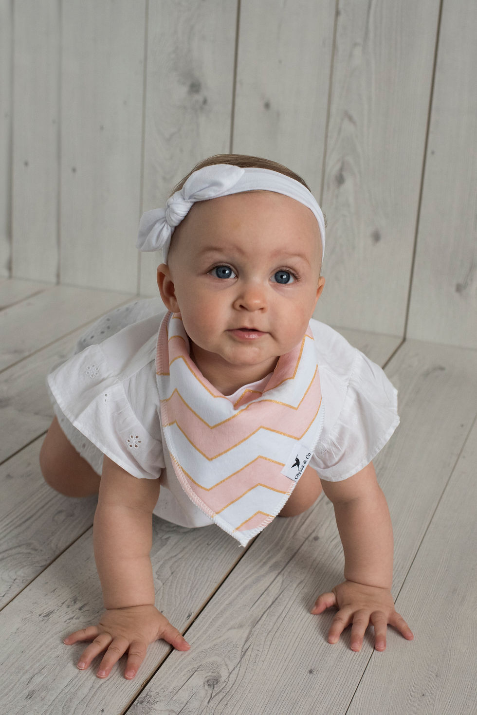 Thumbnail: Olyssa & Co Baby Bandana Drool Bibs