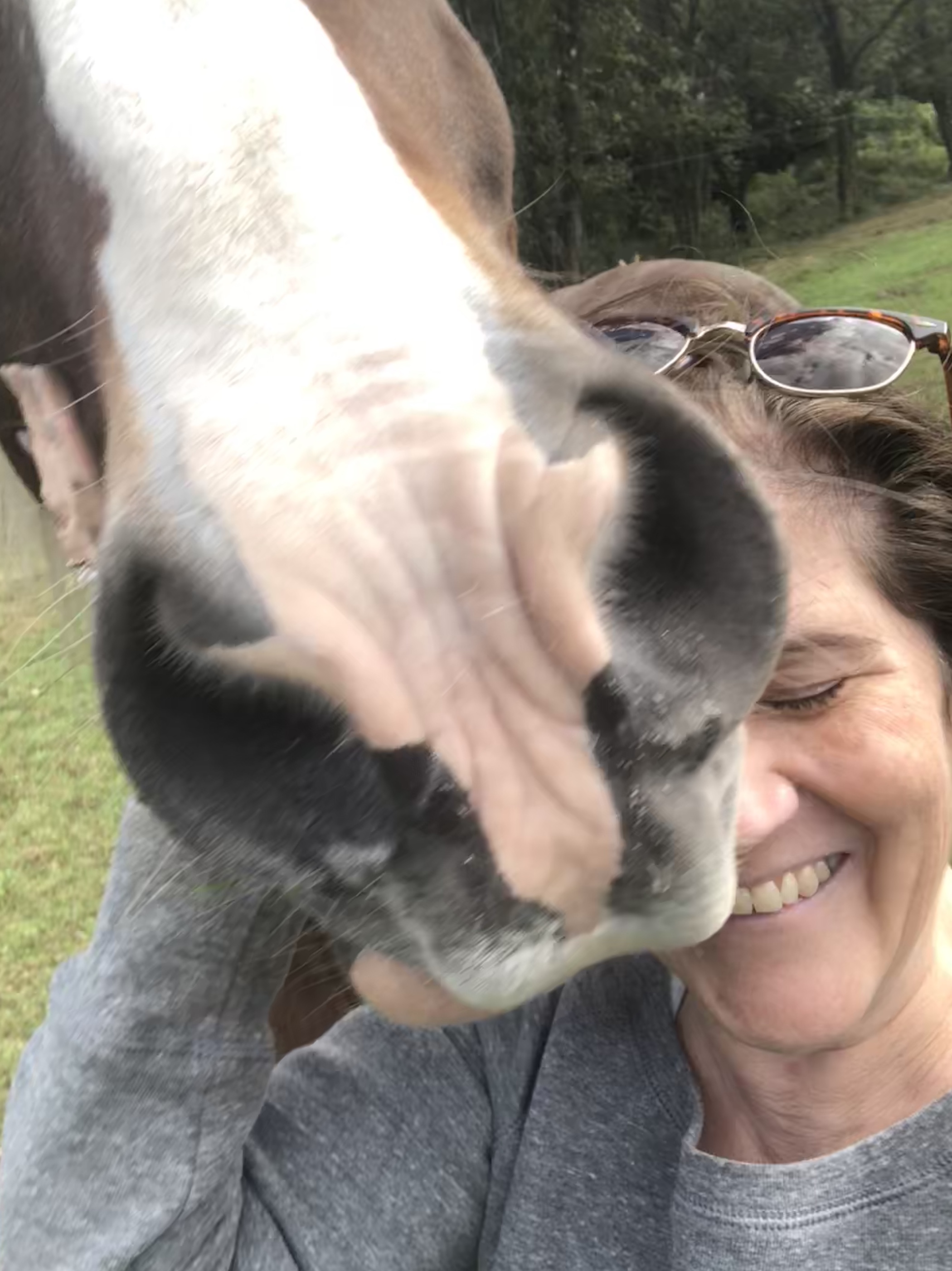 Writer: Pooches and Hooves