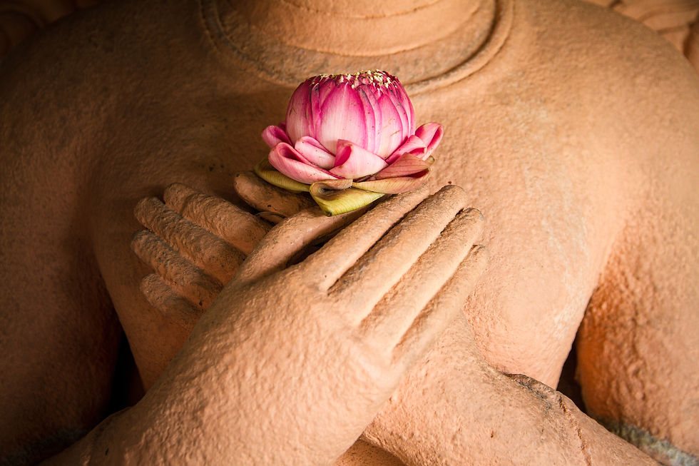 The Five Points of Yoga: A Framework for Yogic Life
