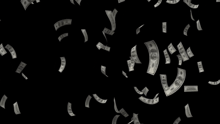 raining-money-14.gif
