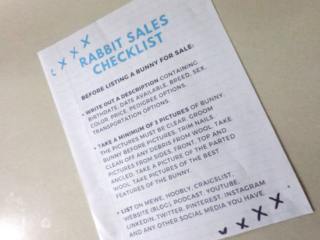 FREE Rabbit Sales Checklist