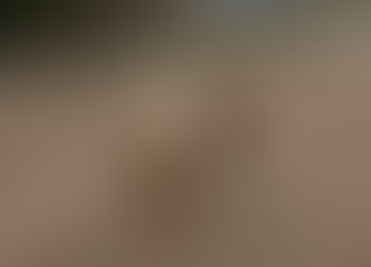 Harry and Ron's sheepy disagreement