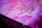 QUALIA at Chabot Space, OAKLAND / 6:45 PM