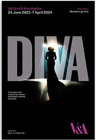 166664 DIVA EXHIBITION POSTER_edited.jpg