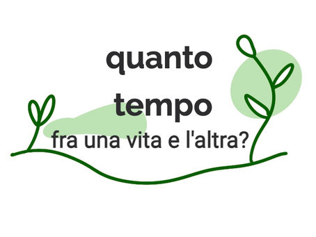 Quanto tempo passa tra una vita e l’altra?