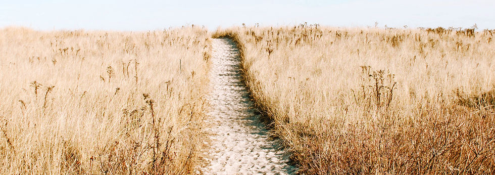 Sandy Grass Pathway_edited.jpg