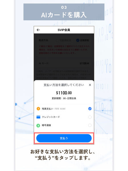 VST AIカード登録の仕方_page-0010