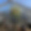 Thumbnail: Tall Table Centerpiece