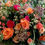 Thumbnail: Floral Meadows or Clouds